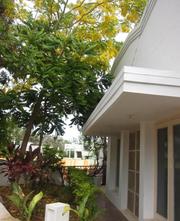 3 BHK - Architect designed - Quiet/Residential Area 