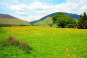 Land available for GODOWNS or STORAGE PURPOSE