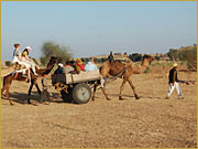 Desert Camps Rajasthan,  India