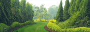 Resorts Near Delhi,  Weekend Getaways,  One Day picnic Spot Delhi – Surj
