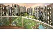 Microtek Greenburg Gurgaon Book Now @ 09999536147