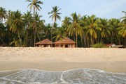 Beach House,  Beach Flower Beach House