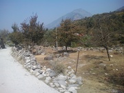 5 Bigha land for sale in Manali near Beas River