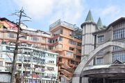 Tragopan Holidays Providing Valentine's Day Package in Shimla