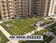  BPTP Park Elite Preium- BPTP Park Elite Premium Apartments