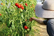 Farming Business Opportunities