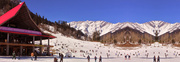 Manali Honeymoon Package- ExoticHimachalTrip