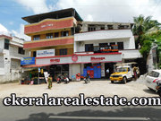 Kanjirampara  2 bhk apartment for rent