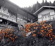 Icchey gaon Homestay