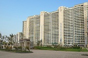 DLF Magnolias Apartment on Rent in Gurgaon