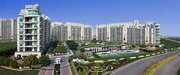 DLF Crest | Apartment for Rent in Gurgaon